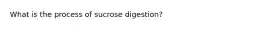 What is the process of sucrose digestion?