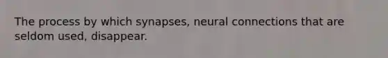 The process by which synapses, neural connections that are seldom used, disappear.