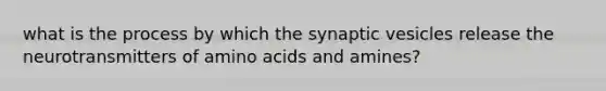 what is the process by which the synaptic vesicles release the neurotransmitters of amino acids and amines?