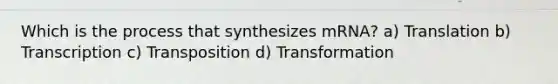 Which is the process that synthesizes mRNA? a) Translation b) Transcription c) Transposition d) Transformation