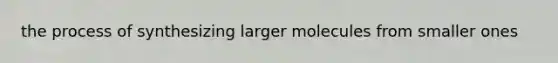the process of synthesizing larger molecules from smaller ones