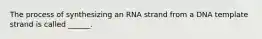 The process of synthesizing an RNA strand from a DNA template strand is called ______.