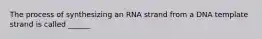 The process of synthesizing an RNA strand from a DNA template strand is called ______