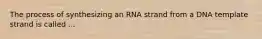 The process of synthesizing an RNA strand from a DNA template strand is called ...