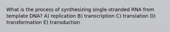 What is the process of synthesizing single-stranded RNA from template DNA? A) replication B) transcription C) translation D) transformation E) transduction