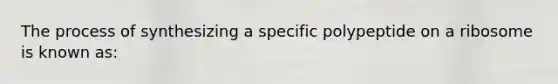 The process of synthesizing a specific polypeptide on a ribosome is known as: