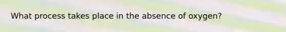 What process takes place in the absence of oxygen?