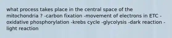 what process takes place in the central space of the mitochondria ? -carbon fixation -movement of electrons in ETC -oxidative phosphorylation -krebs cycle -glycolysis -dark reaction -light reaction