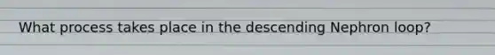 What process takes place in the descending Nephron loop?