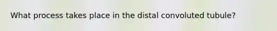 What process takes place in the distal convoluted tubule?