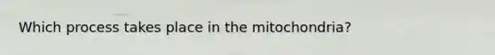 Which process takes place in the mitochondria?