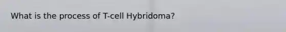 What is the process of T-cell Hybridoma?