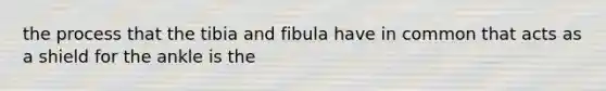 the process that the tibia and fibula have in common that acts as a shield for the ankle is the