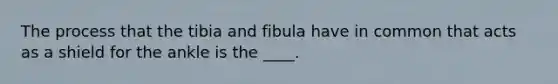 The process that the tibia and fibula have in common that acts as a shield for the ankle is the ____.