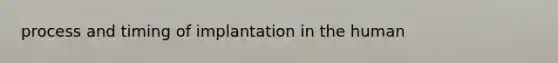 process and timing of implantation in the human
