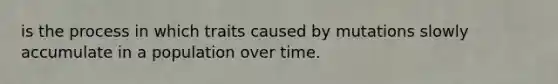 is the process in which traits caused by mutations slowly accumulate in a population over time.