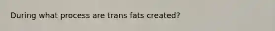 During what process are trans fats created?