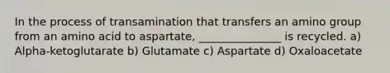 In the process of transamination that transfers an amino group from an amino acid to aspartate, _______________ is recycled. a) Alpha-ketoglutarate b) Glutamate c) Aspartate d) Oxaloacetate