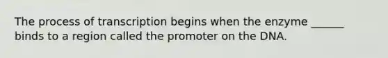 The process of transcription begins when the enzyme ______ binds to a region called the promoter on the DNA.