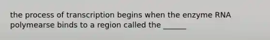 the process of transcription begins when the enzyme RNA polymearse binds to a region called the ______