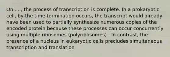 On ...., the process of transcription is complete. In a prokaryotic cell, by the time termination occurs, the transcript would already have been used to partially synthesize numerous copies of the encoded protein because these processes can occur concurrently using multiple ribosomes (polyribosomes) . In contrast, the presence of a nucleus in eukaryotic cells precludes simultaneous transcription and translation