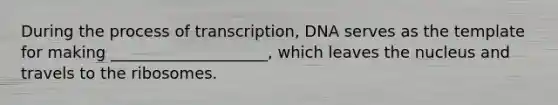 During the process of transcription, DNA serves as the template for making ____________________, which leaves the nucleus and travels to the ribosomes.