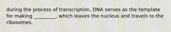 during the process of transcription, DNA serves as the template for making _________, which leaves the nucleus and travels to the ribosomes.