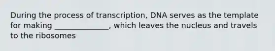 During the process of transcription, DNA serves as the template for making ______________, which leaves the nucleus and travels to the ribosomes