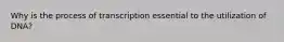 Why is the process of transcription essential to the utilization of DNA?