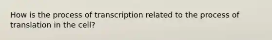 How is the process of transcription related to the process of translation in the cell?