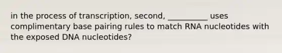 in the process of transcription, second, __________ uses complimentary base pairing rules to match RNA nucleotides with the exposed DNA nucleotides?