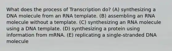 What does the process of Transcription do? (A) synthesizing a DNA molecule from an RNA template. (B) assembling an RNA molecule without a template. (C) synthesizing an RNA molecule using a DNA template. (D) synthesizing a protein using information from mRNA. (E) replicating a single-stranded DNA molecule