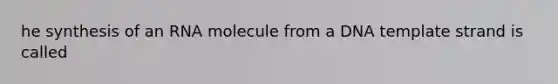 he synthesis of an RNA molecule from a DNA template strand is called