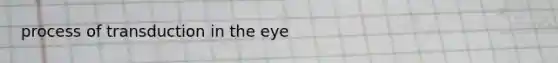 process of transduction in the eye