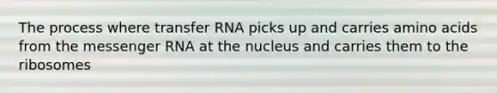 The process where transfer RNA picks up and carries amino acids from the messenger RNA at the nucleus and carries them to the ribosomes