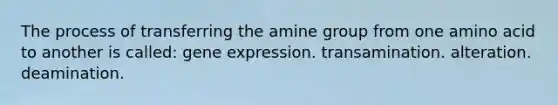 The process of transferring the amine group from one amino acid to another is called: gene expression. transamination. alteration. deamination.