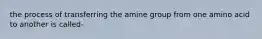 the process of transferring the amine group from one amino acid to another is called-