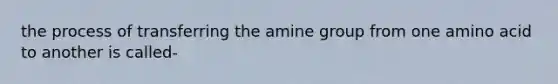 the process of transferring the amine group from one amino acid to another is called-