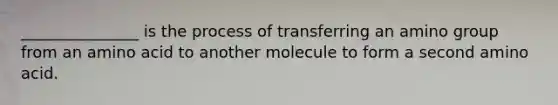 _______________ is the process of transferring an amino group from an amino acid to another molecule to form a second amino acid.