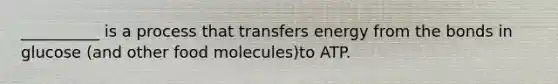 __________ is a process that transfers energy from the bonds in glucose (and other food molecules)to ATP.