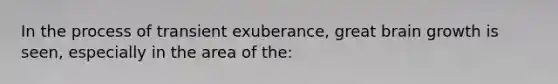 In the process of transient exuberance, great brain growth is seen, especially in the area of the: