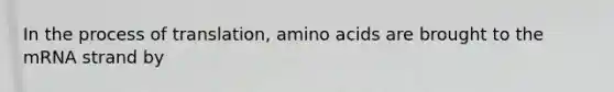 In the process of translation, amino acids are brought to the mRNA strand by