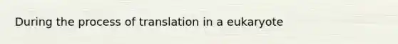 During the process of translation in a eukaryote