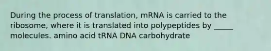 During the process of translation, mRNA is carried to the ribosome, where it is translated into polypeptides by _____ molecules. amino acid tRNA DNA carbohydrate