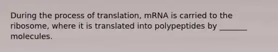 During the process of translation, mRNA is carried to the ribosome, where it is translated into polypeptides by _______ molecules.