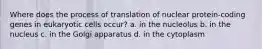 Where does the process of translation of nuclear protein-coding genes in eukaryotic cells occur? a. in the nucleolus b. in the nucleus c. in the Golgi apparatus d. in the cytoplasm