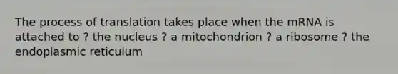 The process of translation takes place when the mRNA is attached to ? the nucleus ? a mitochondrion ? a ribosome ? the endoplasmic reticulum