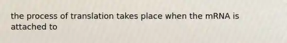 the process of translation takes place when the mRNA is attached to
