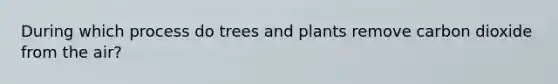 During which process do trees and plants remove carbon dioxide from the air?