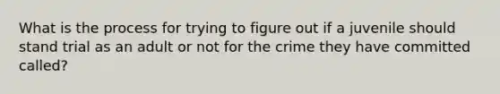 What is the process for trying to figure out if a juvenile should stand trial as an adult or not for the crime they have committed called?